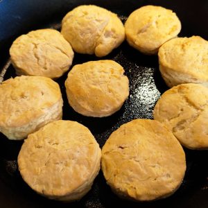Buttermilk biscuits fresh out of the oven with light golden brown crusts.